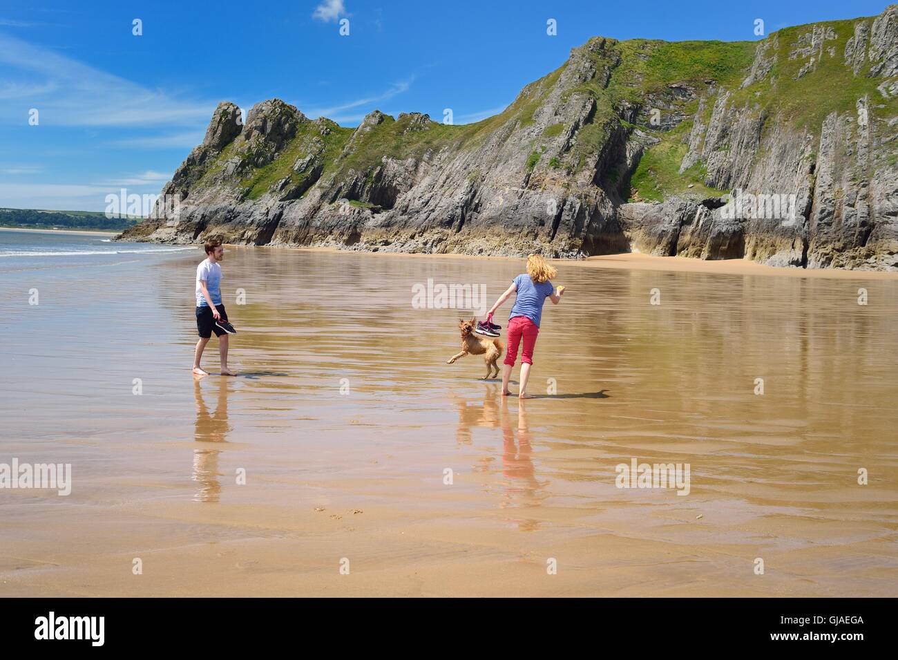 Hund zu Fuß und Spaß an einem einsamen Strand Stockfoto