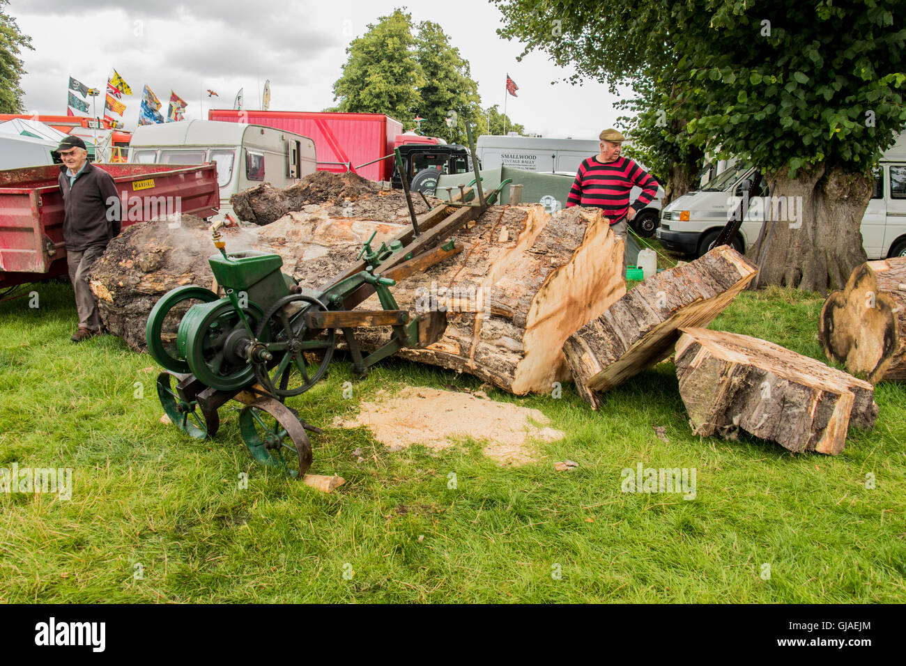 Demonstration der alten mechanischen sah bei Astle Park Zugmaschine Kundgebung am Chelford Cheshire England Stockfoto