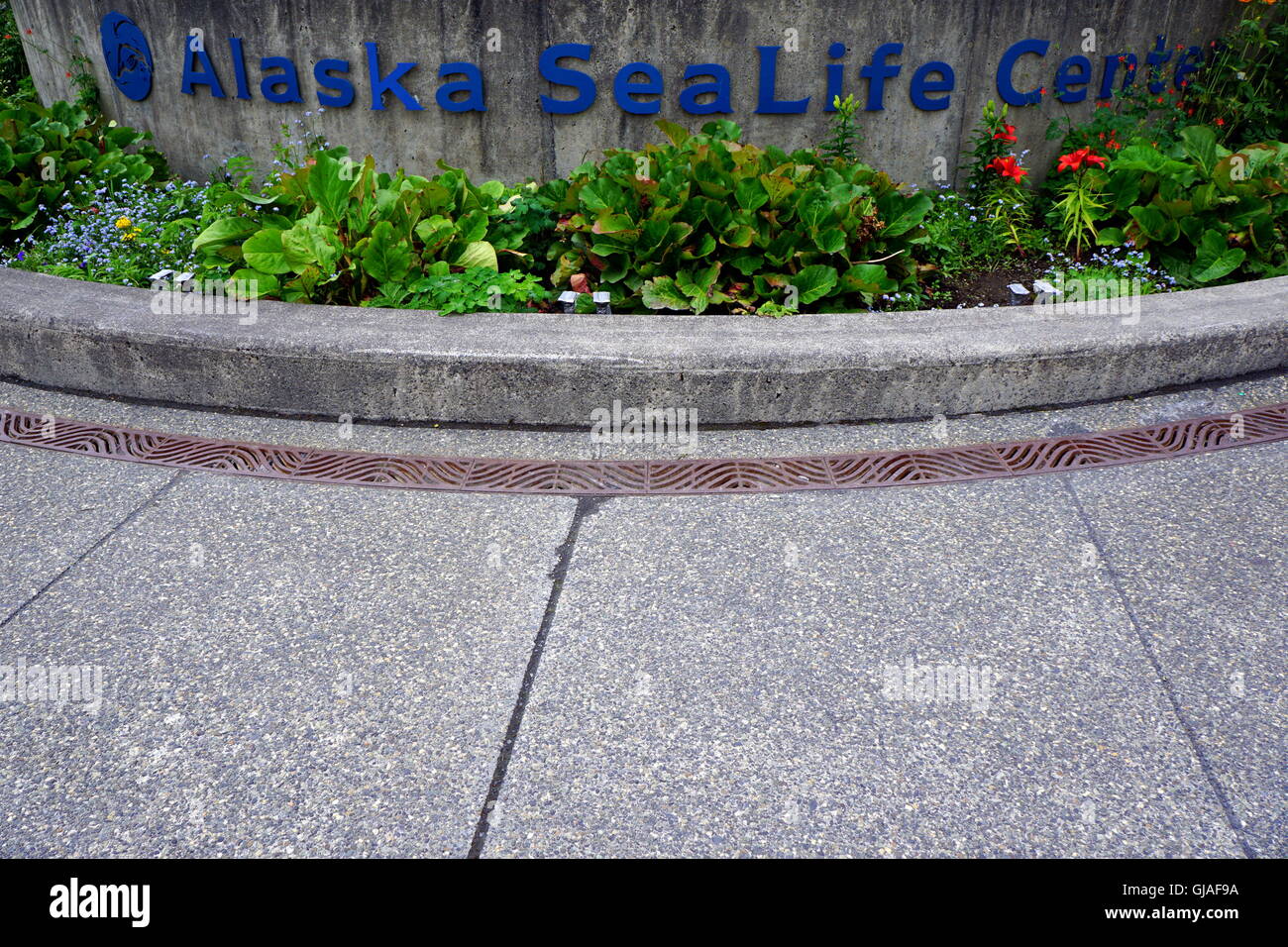 Alaska Sea Life Center (Alaska's Premier öffentlichen Aquarium) in Seward, Alaska Stockfoto