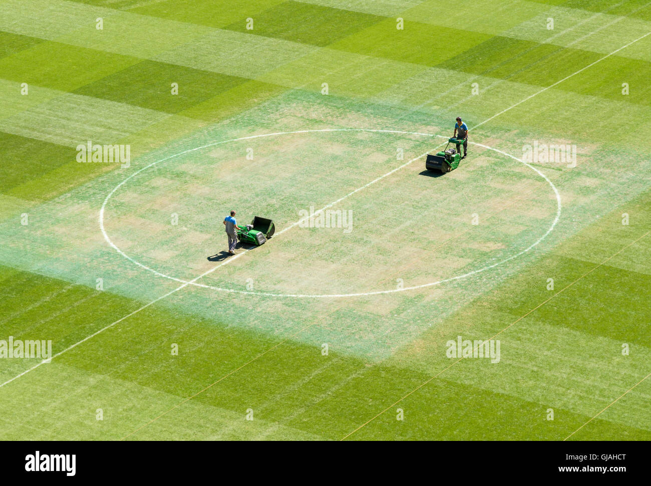 Platzwarte mähen den Rasen im Stadion Santiago Bernabéu, Madrid, Spanien Stockfoto