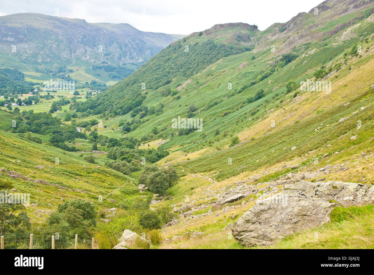 Border-Collie Hund Abstieg vom hohen heben entlang Greenup Gill in Richtung Borrowdale, Keswick, Seenplatte, cumbria Stockfoto