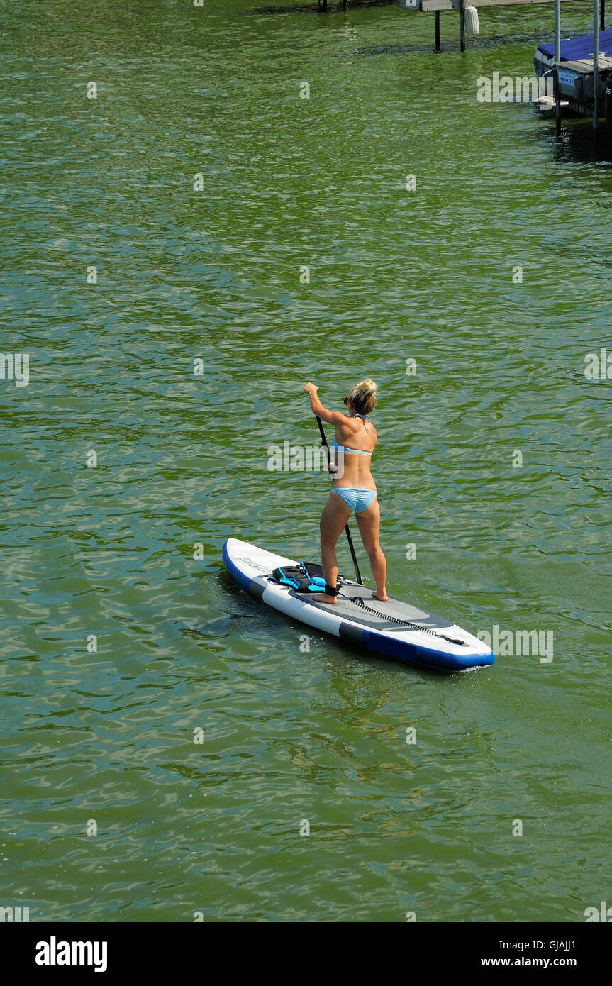 Körperlich fit Frau Paddle Board Stockfoto