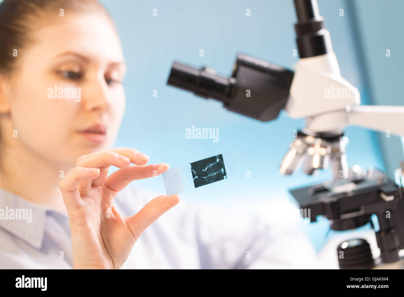 Frau in einem Labor-Mikroskop mit Mikroskop schieben in der hand. Forschung-Biopsie-Probe Stockfoto