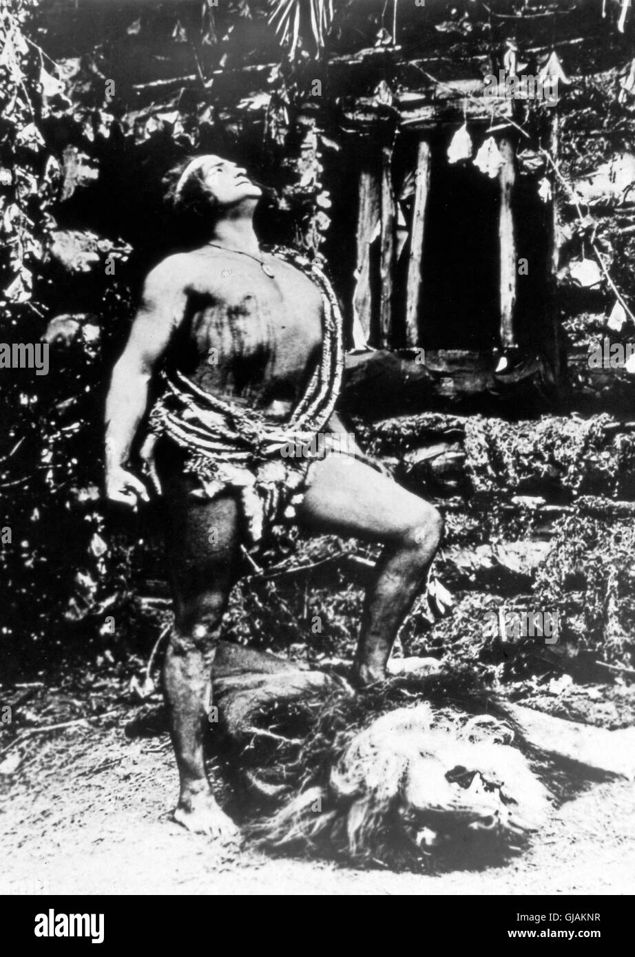 Tarzan Of The Apes, aka: Tarzan der Affen, USA 1918, Regie: Scott Sidney, Monia: Elmo Lincoln Stockfoto