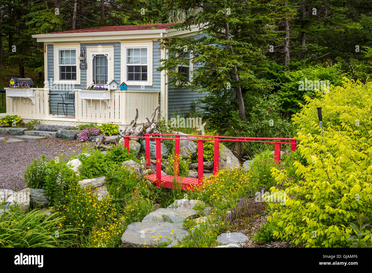 Ein privater Garten im Osten Bauline, Neufundland und Labrador, Kanada. Stockfoto