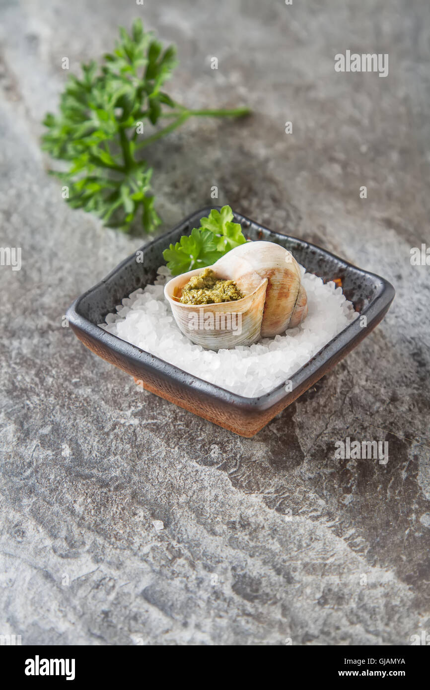 Großen Escargots de Bourgogne - gebackenen Schnecken mit Knoblauchbutter mit Petersilie auf grauem Stein Hintergrund. Stockfoto