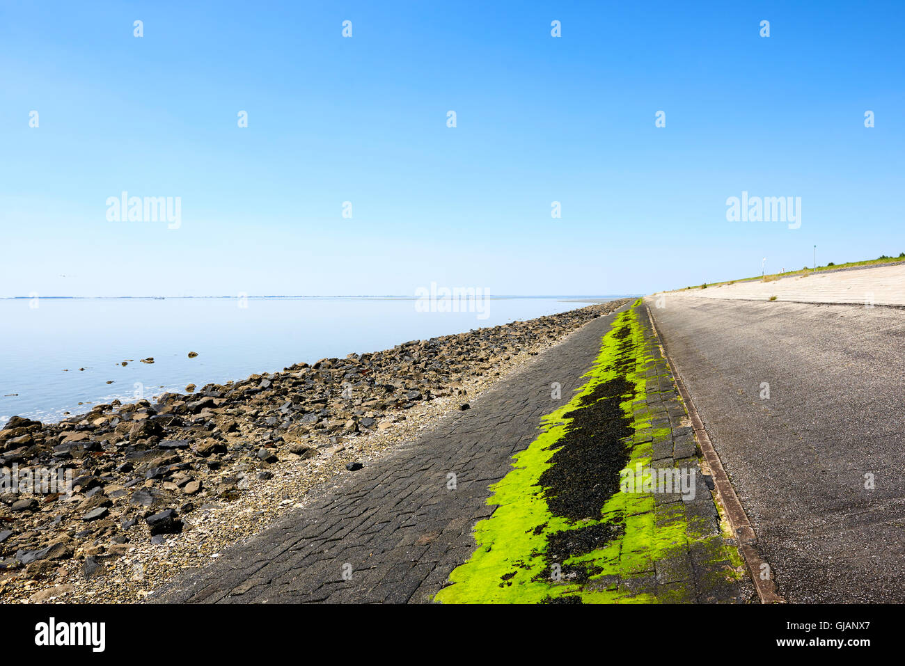 Oesterdam (Oysterdam), der längste Damm der Deltawerke in den Niederlanden Stockfoto