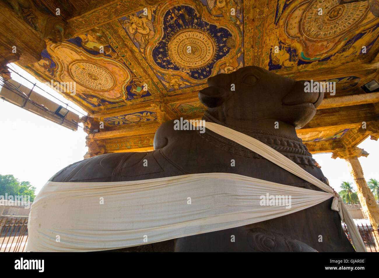 Steinstatue Nandi-Bullen gesehen bei Brihadishwara-Tempel Tanjavur Tamilnadu Indien Asien Stockfoto