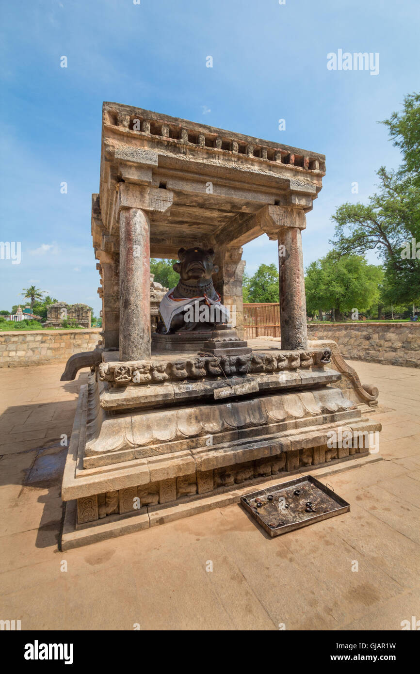 Große Statue von Nandi Bull vor Airawateswarar Hindutempel, Tamil Nadu, Indien Stockfoto