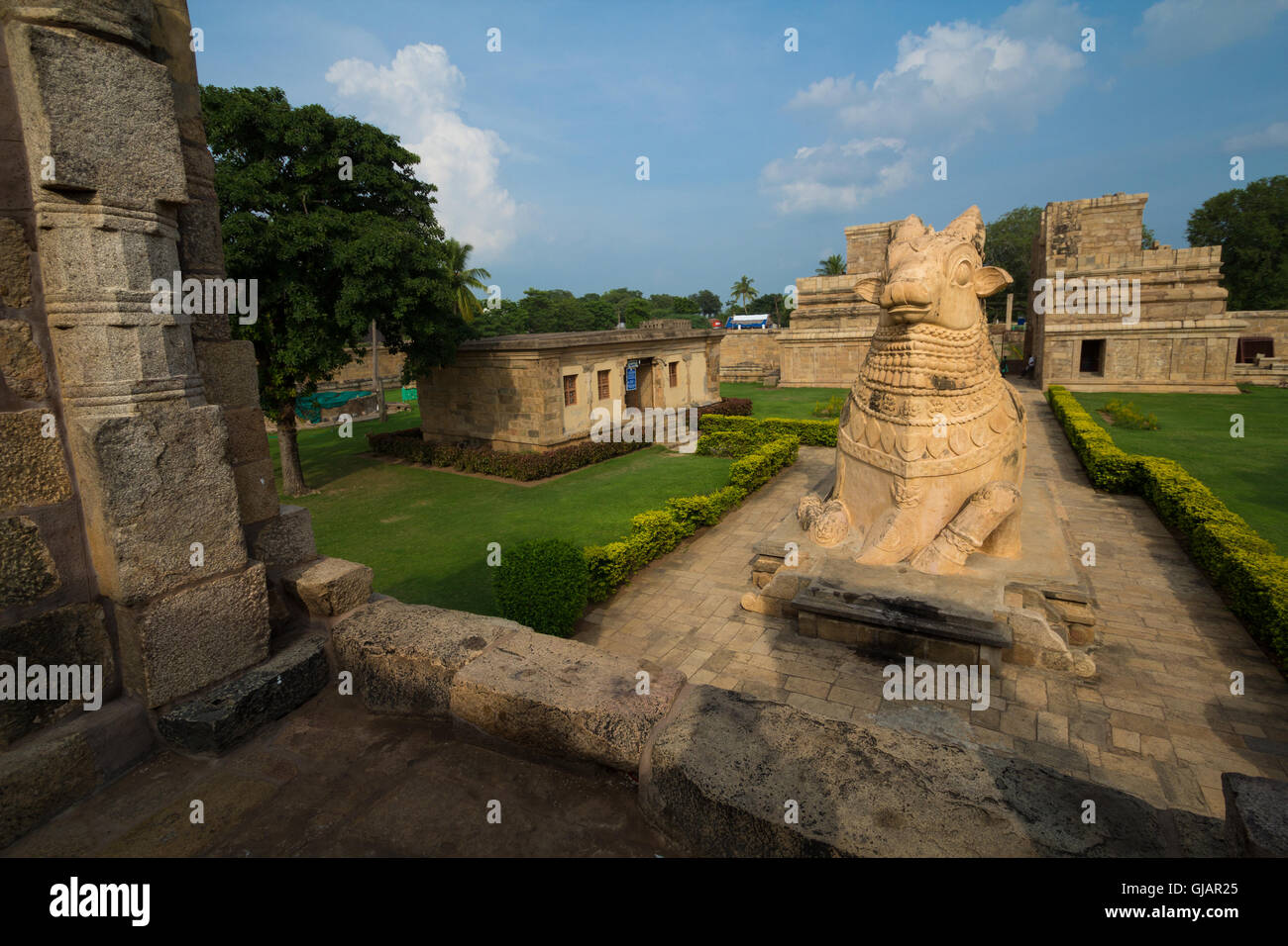 Große Statue von Nandi Bull vor Gangaikonda Cholapuram Hindutempel, Tamil Nadu, Indien Stockfoto