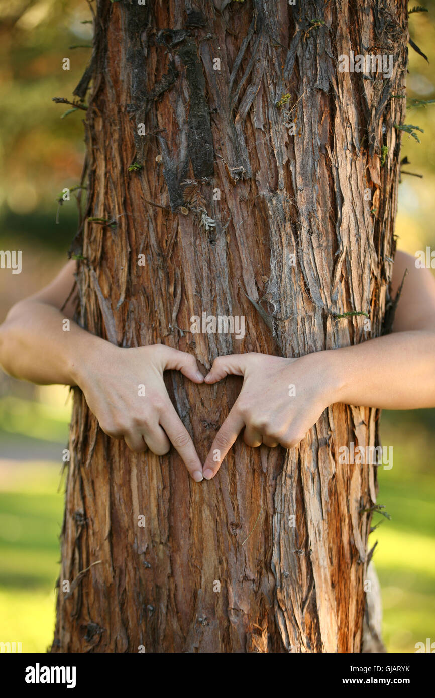 Treehugger Stockfoto