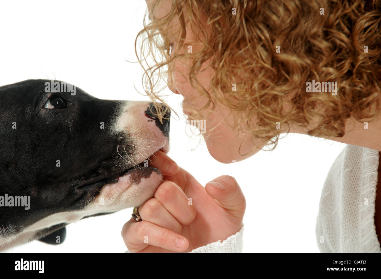 Frau und Hund ist palying Stockfoto