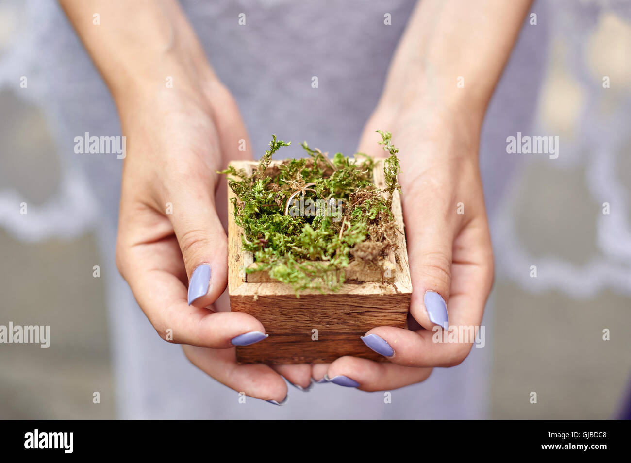 Braut die Hände halten Box mit goldene Ringe für die Trauung Stockfoto