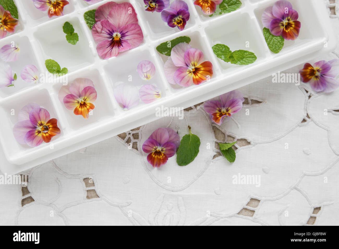 Essbare Blumen und Minze in Würfel Eiswürfelschale auf weiße Vintage Leinen-Hintergrund Stockfoto