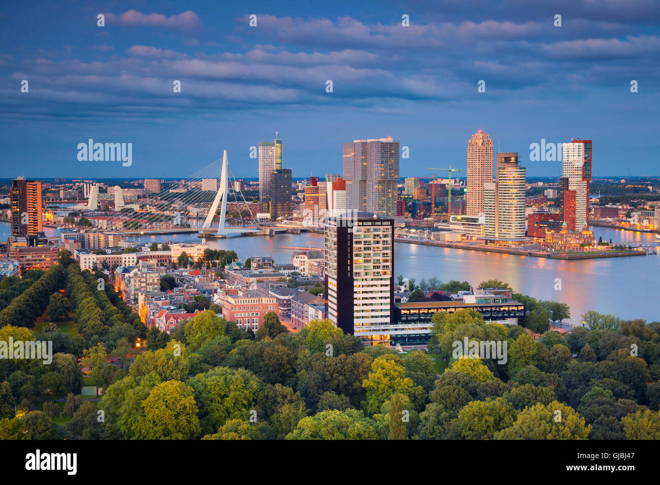 Rotterdam. Bild von Rotterdam, Niederlande während der blauen Dämmerstunde. Stockfoto