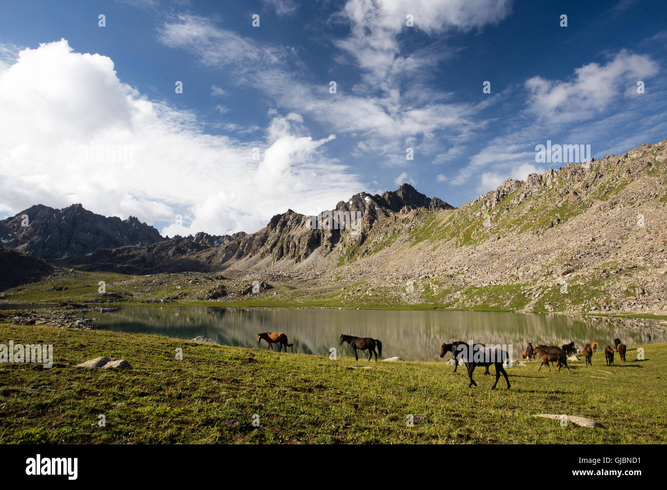 Pferde grasen über einem kleinen Bergsee in Kirgistans Boz-Uchuk-Tal, im Bereich Ala-Too aus dem Ostbecken Issyk-Kol. Stockfoto