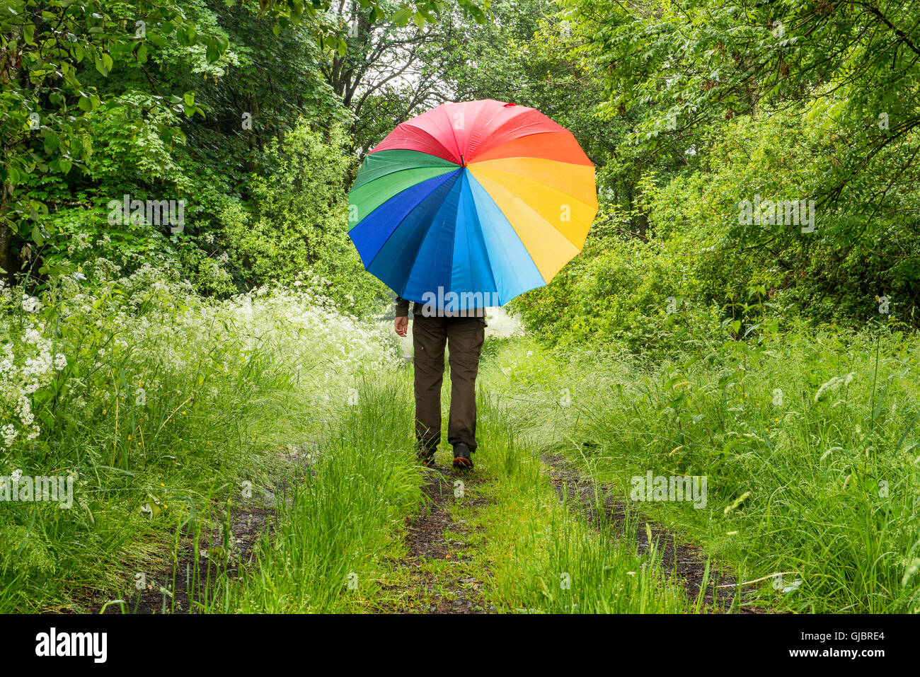 Person im Wald mit großen bunten Regenschirm spazieren Stockfoto