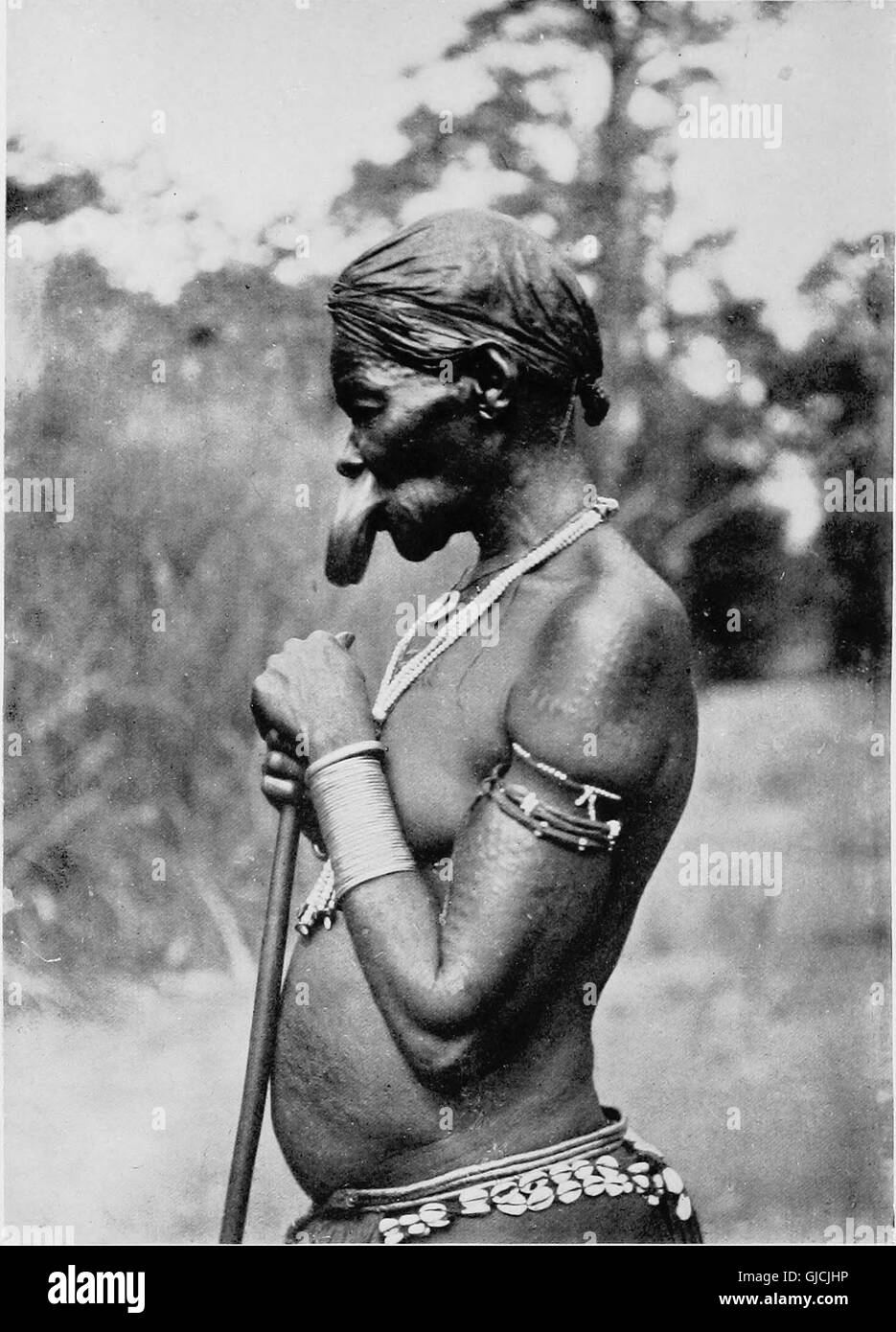 Dieses Werk wurde 1922 veröffentlicht und erforscht die abgelegenen und einzigartigen Regionen des östlichen Kongo und beleuchtet seine schneebedeckten Vulkane, einheimischen Zwergstämme und seltenen Wildtieren wie Riesengorilla und Okapi. Stockfoto