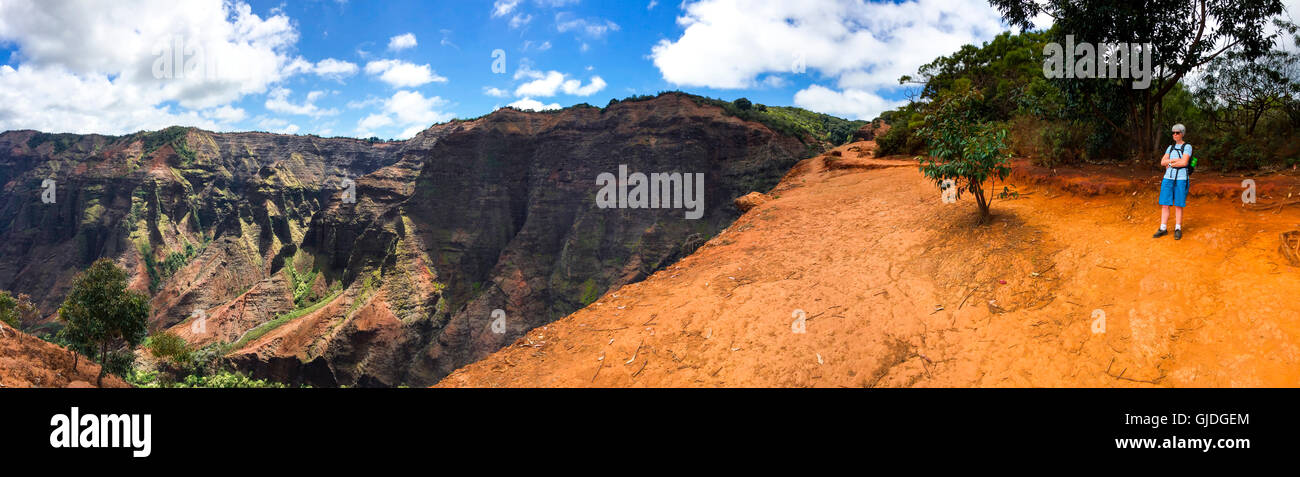 Eine Wandererin am Rande des Waimea Canyon, Kauaii, Hawaii, USA. Beliebtes Ziel für Spaziergänge, Wanderungen und die Kommunikation mit der Natur. Reisen. Stockfoto