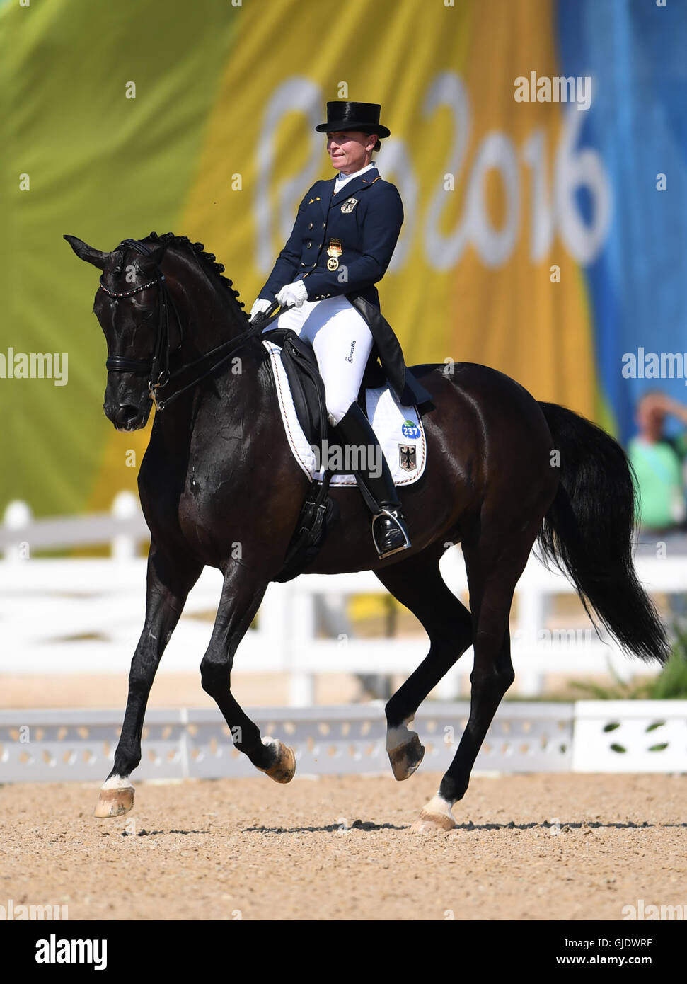 Dressur Rio Live Dressur Rio Live