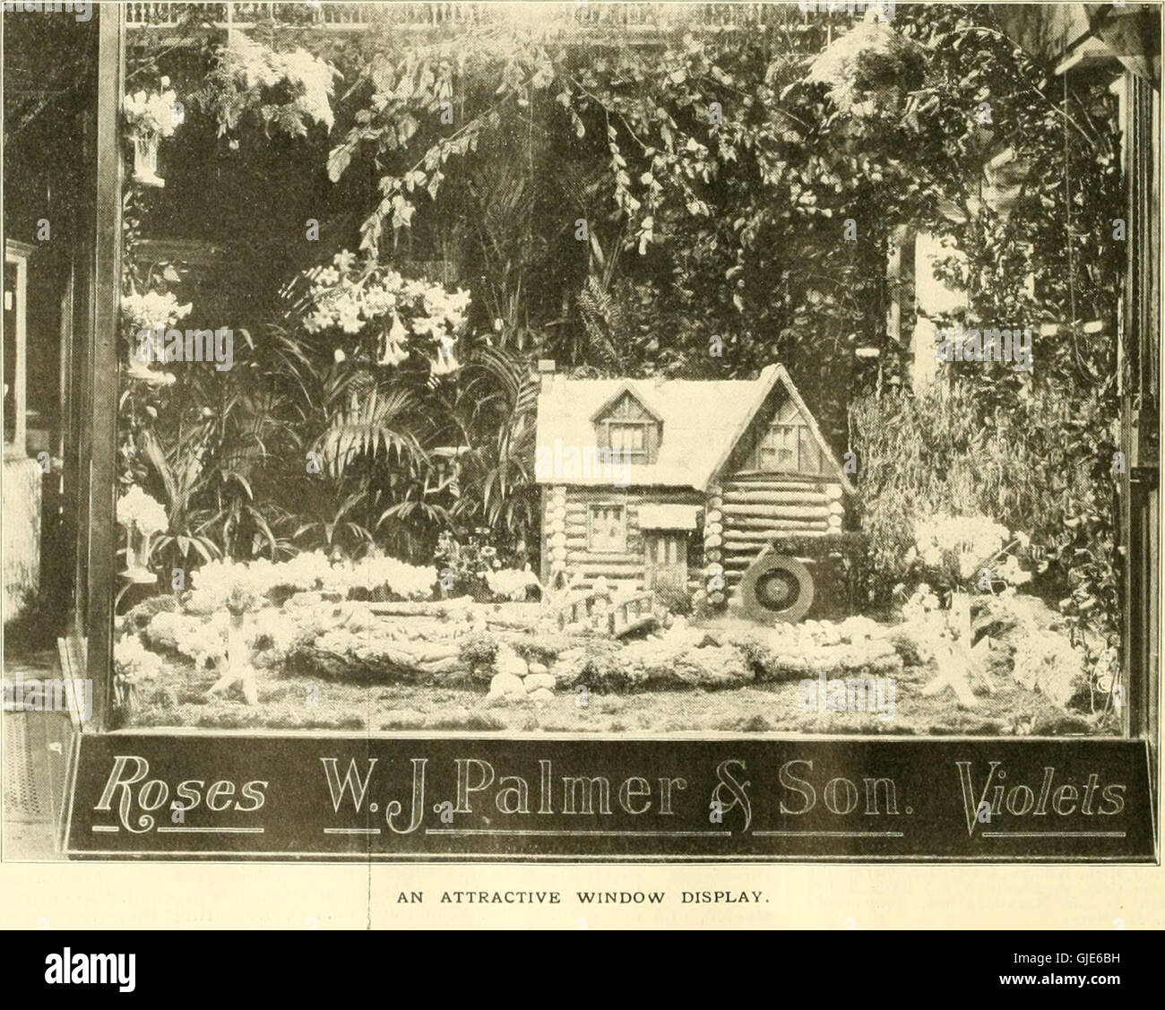 Die 1911 erschienene Ausgabe von „The American Florist“, einer wöchentlichen Zeitschrift, die sich mit dem Blumenhandel in den Vereinigten Staaten befasst und Trends und florierende Praktiken der damaligen Zeit behandelt. Stockfoto