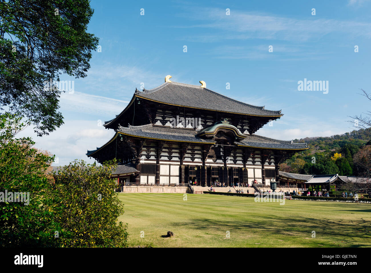 Nara, Japan - 21. November 2016: Todai-Ji ist ein buddhistischer Tempel-Komplex, die einst einer der mächtigen sieben große Tempel, lo Stockfoto