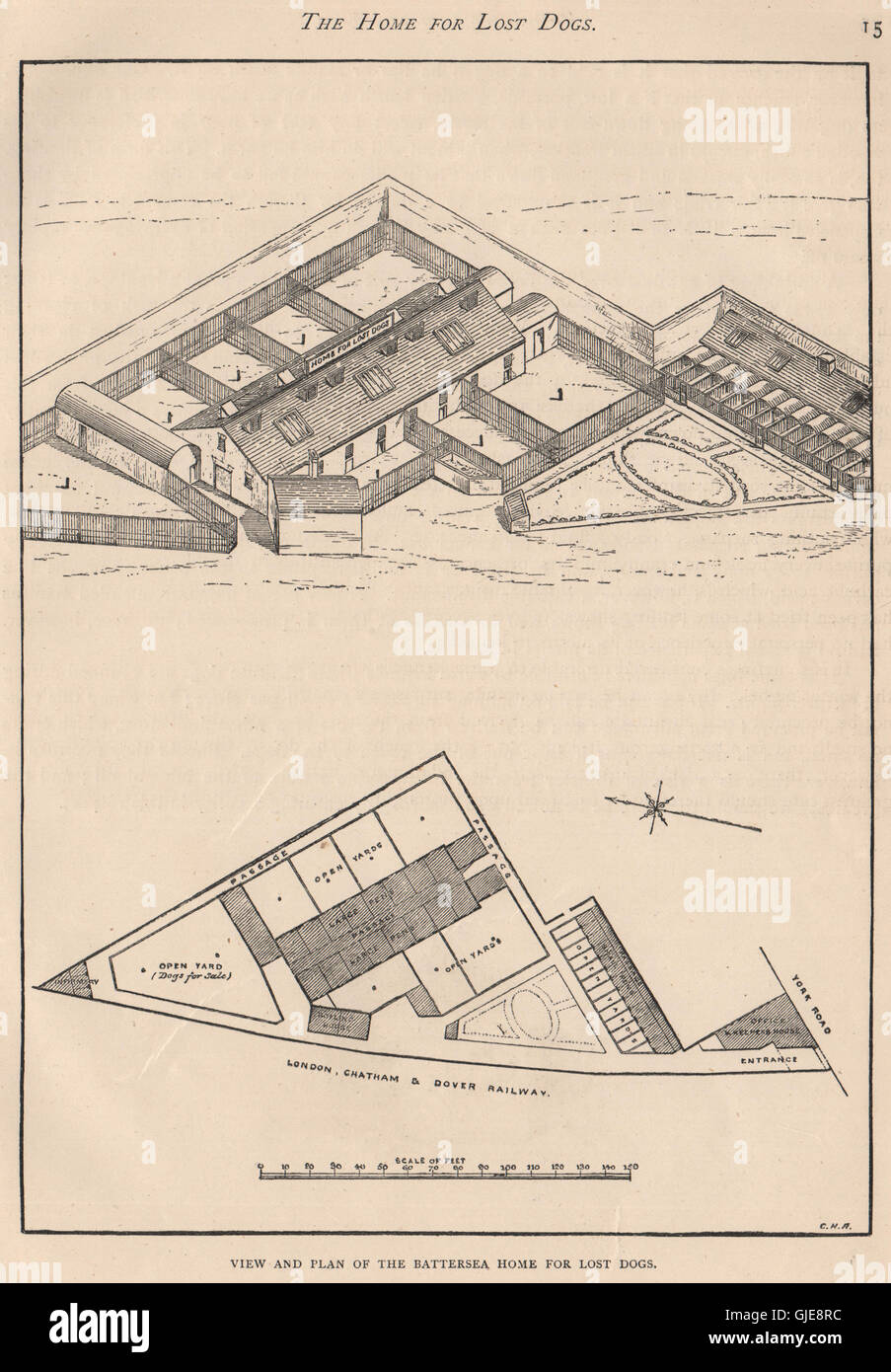 HUNDE. Ansicht und Plan der Battersea Wohnung für Hunde verloren, antiken Drucken 1881 Stockfoto
