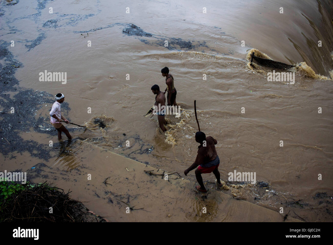 Menschen sammeln Brennholz aus wasserüberfluteten Fluss. Während Indien  feiert 70. Independence Day mit actionreichen Geist, Prime Minister  Narendra Modi Adressierung über mehrere Fragen, gibt es ein Teil des  Landes, die Politik und