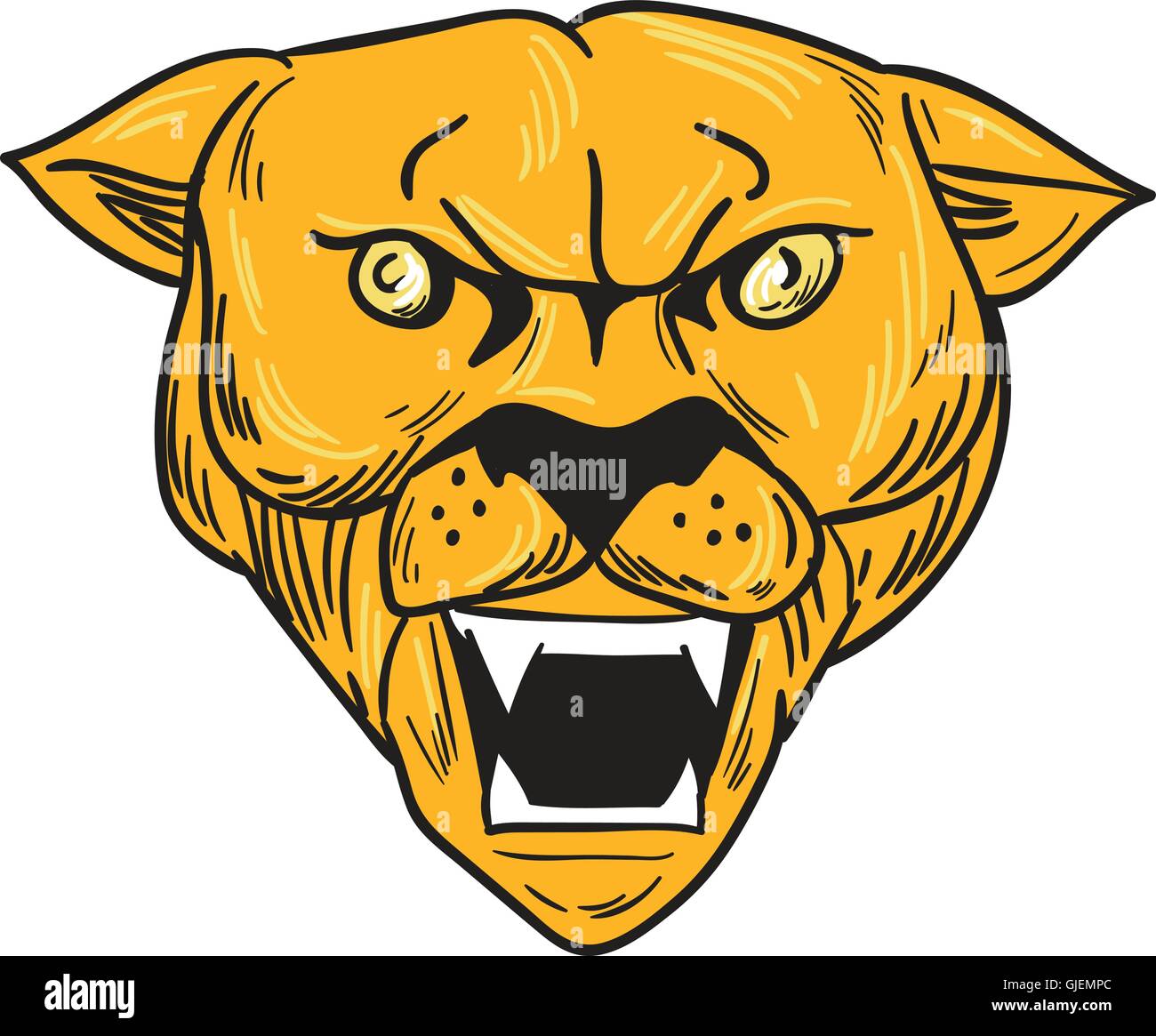 Zeichnung Skizze Stil Abbildung von einer wütenden Cougar Mountain Lion Kopf zeigt Zähne betrachtet von vorne am isolierten weißen Hintergrund. Stock Vektor