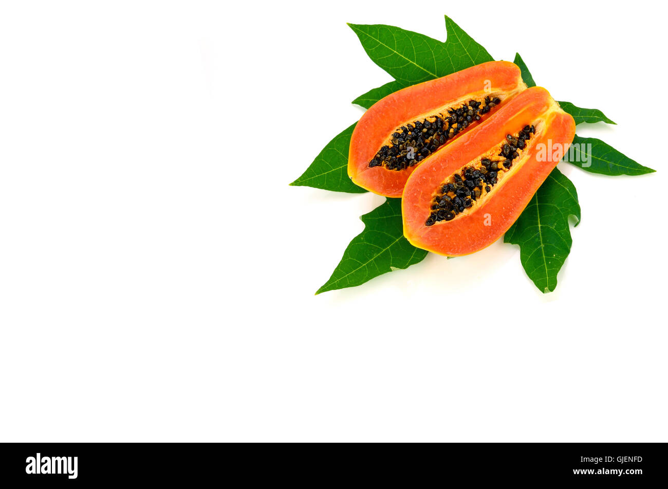 Reife Papaya (Carica Papaya L) mit Blättern mit Beschneidungspfad isoliert. Stockfoto