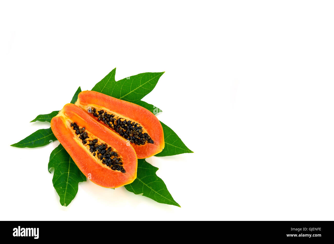 Reife Papaya (Carica Papaya L) mit Blättern mit Beschneidungspfad isoliert. Stockfoto