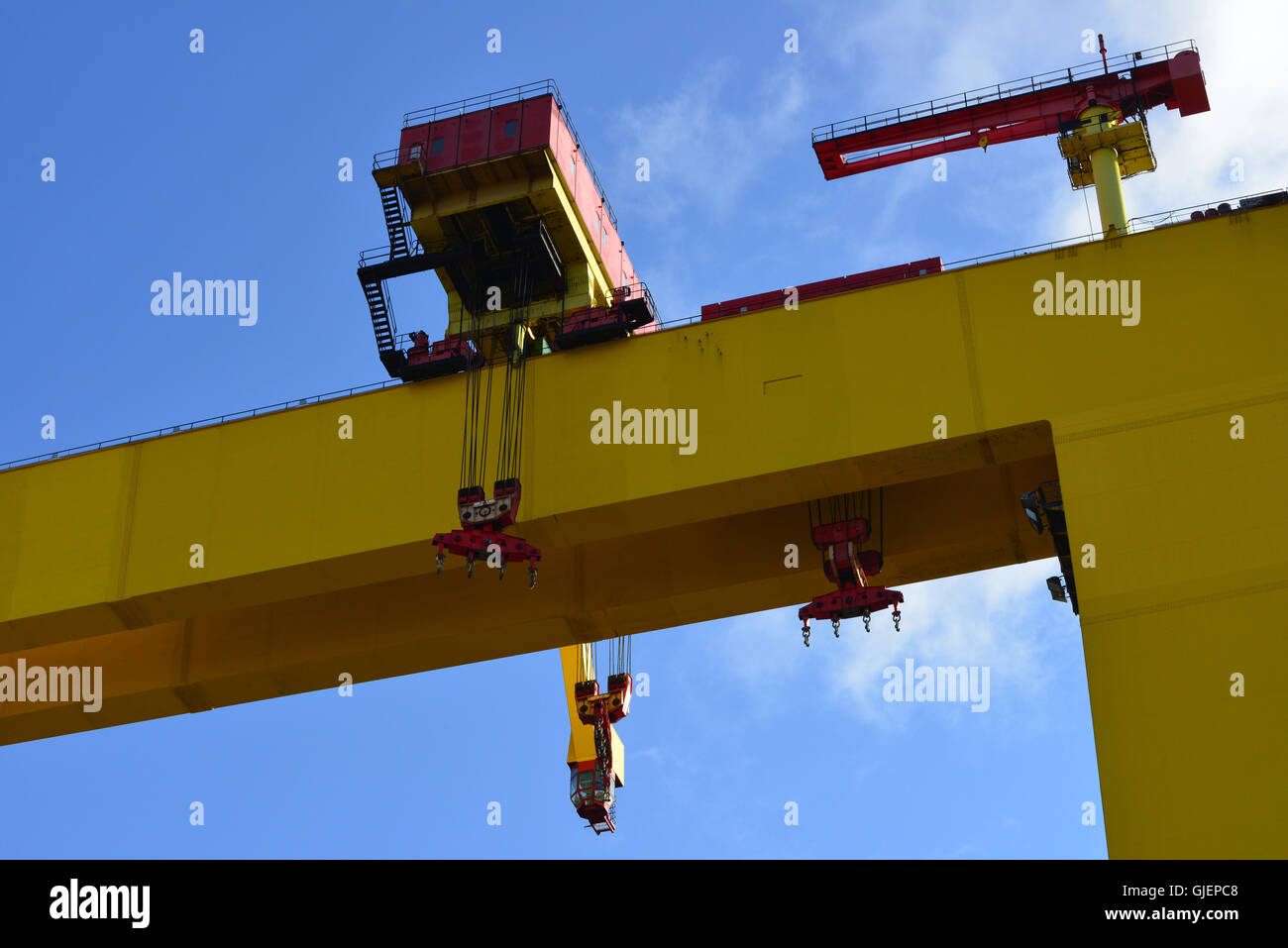 Harland und Wolff Cranes, Belfast Stockfoto