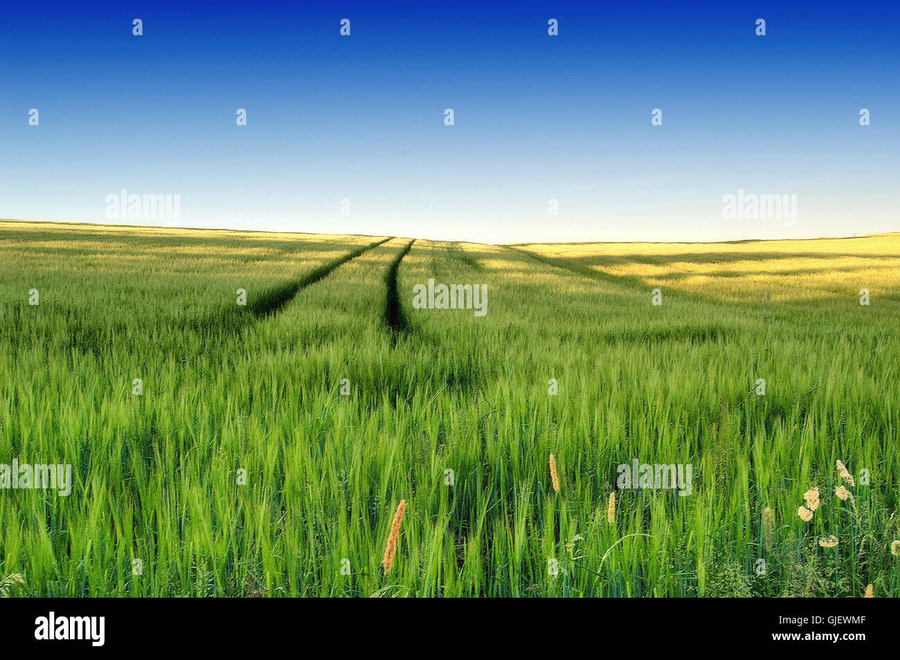 Landschaft 1 Stockfoto