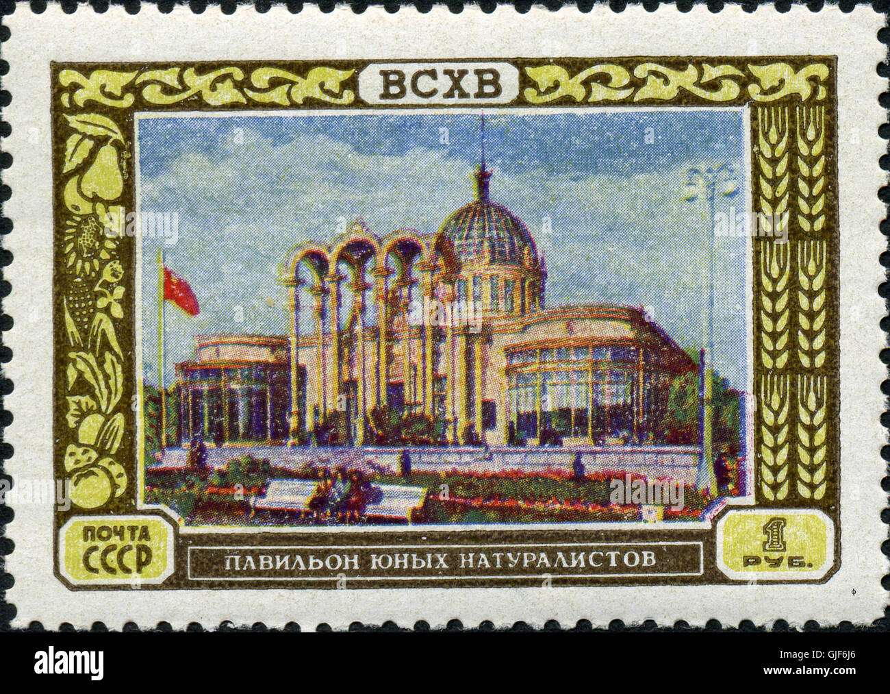 Briefmarke der UdSSR 1873 Stockfoto