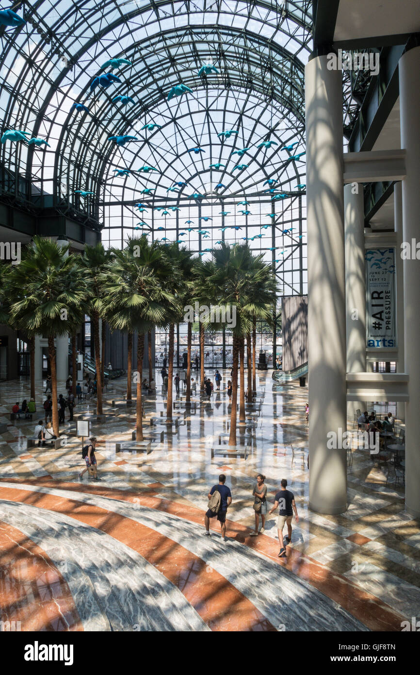 Interior Winter Garden Atrium Brookfield Stockfotos Interior