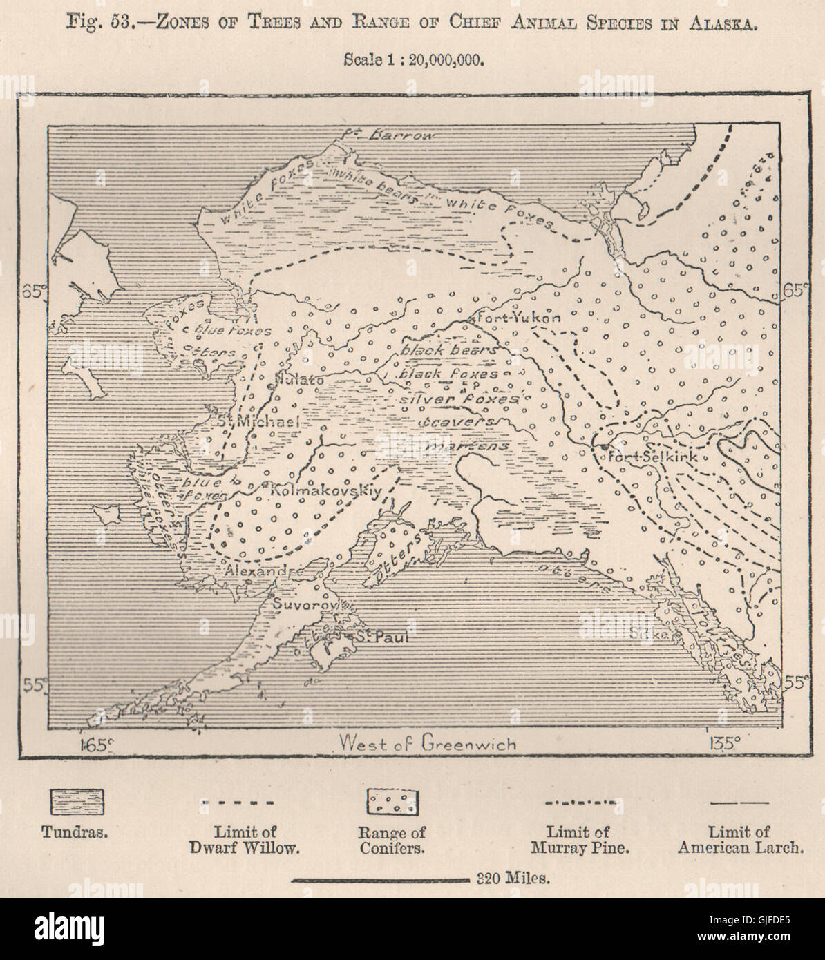 Zonen der Bäume & Palette von Chef Tierarten in Alaska.Bears Füchse, 1885-Karte Stockfoto