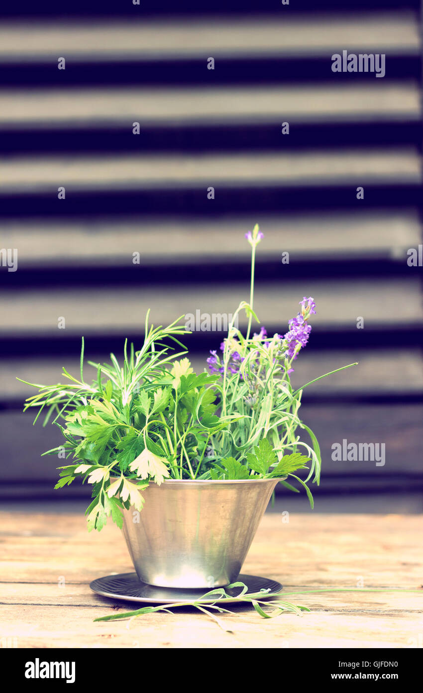 Handvoll frische Kräuter aus dem Garten Stockfoto