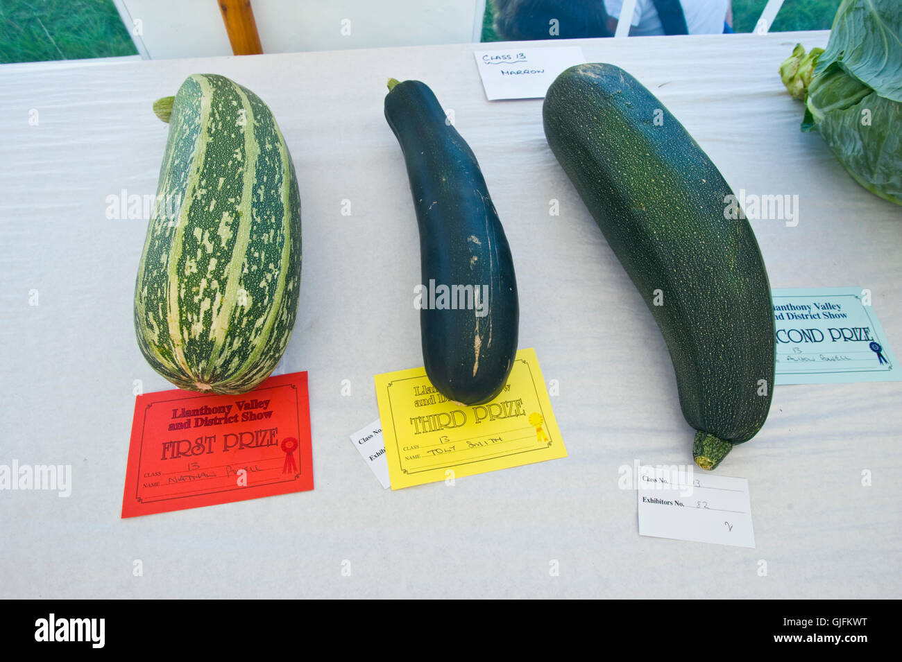 Preisgekrönten Zucchini im Festzelt am Llanthony Show produzieren in der Nähe von Abergavenny Monmouthshire South Wales UK Stockfoto