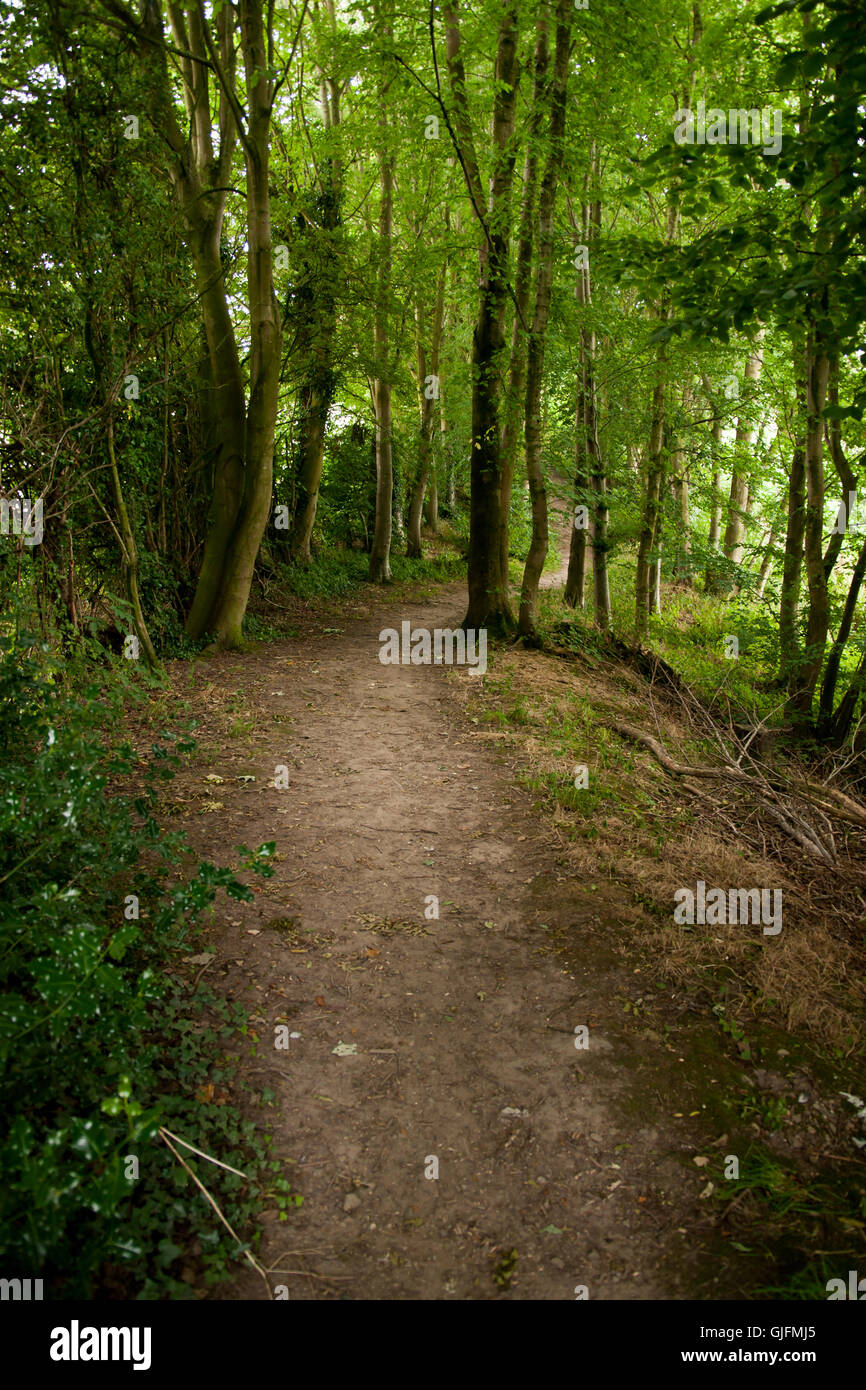Wat's Dyke (Walisisch: Clawdd Wat) Teil einer alten Erdwall entlang der walisischen Grenze in der Nähe von Telford Shropshire gebaut Stockfoto