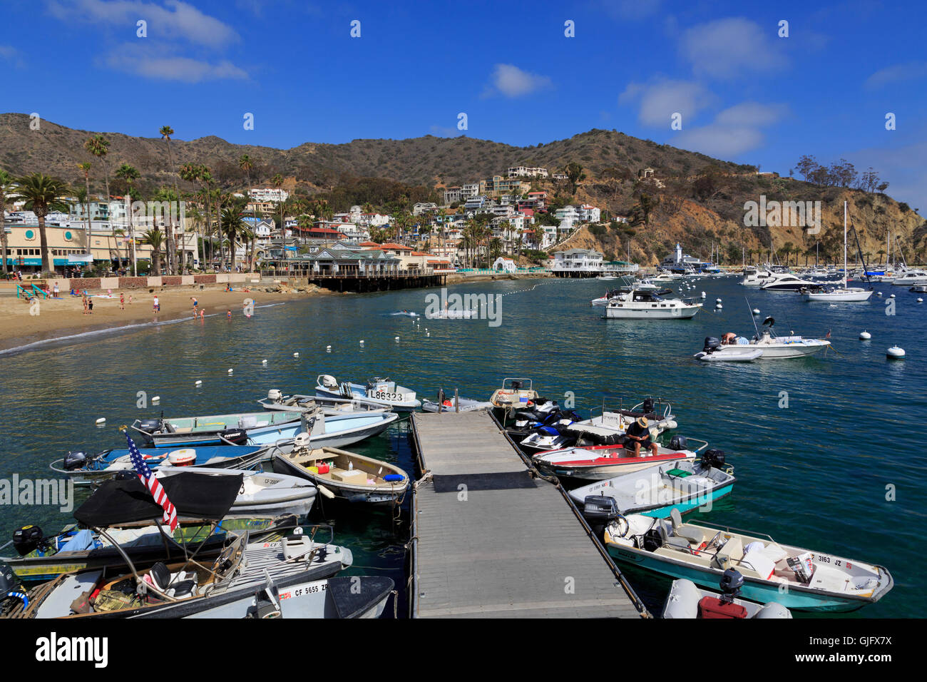 Avalon Harbor, Catalina Island, Orange County, Kalifornien, USA Stockfoto