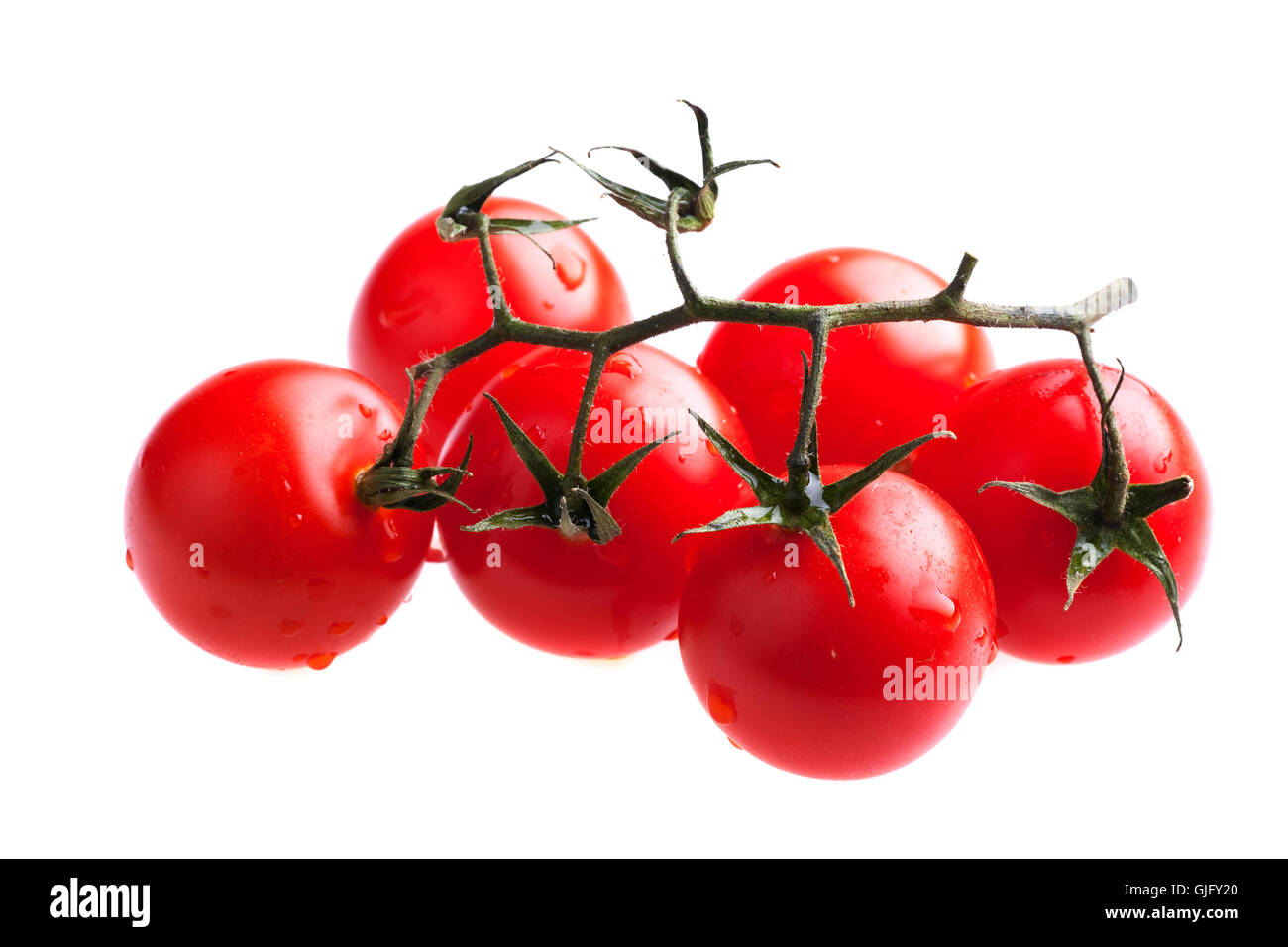 sechs nasse Tomaten isoliert auf weiss Stockfoto