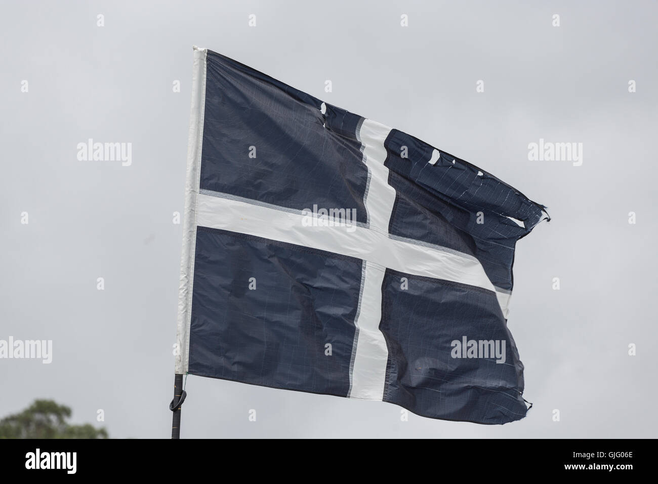 Flagge von Cornwall in den Hafen von Mousehole, Cornwall, UK. Stockfoto