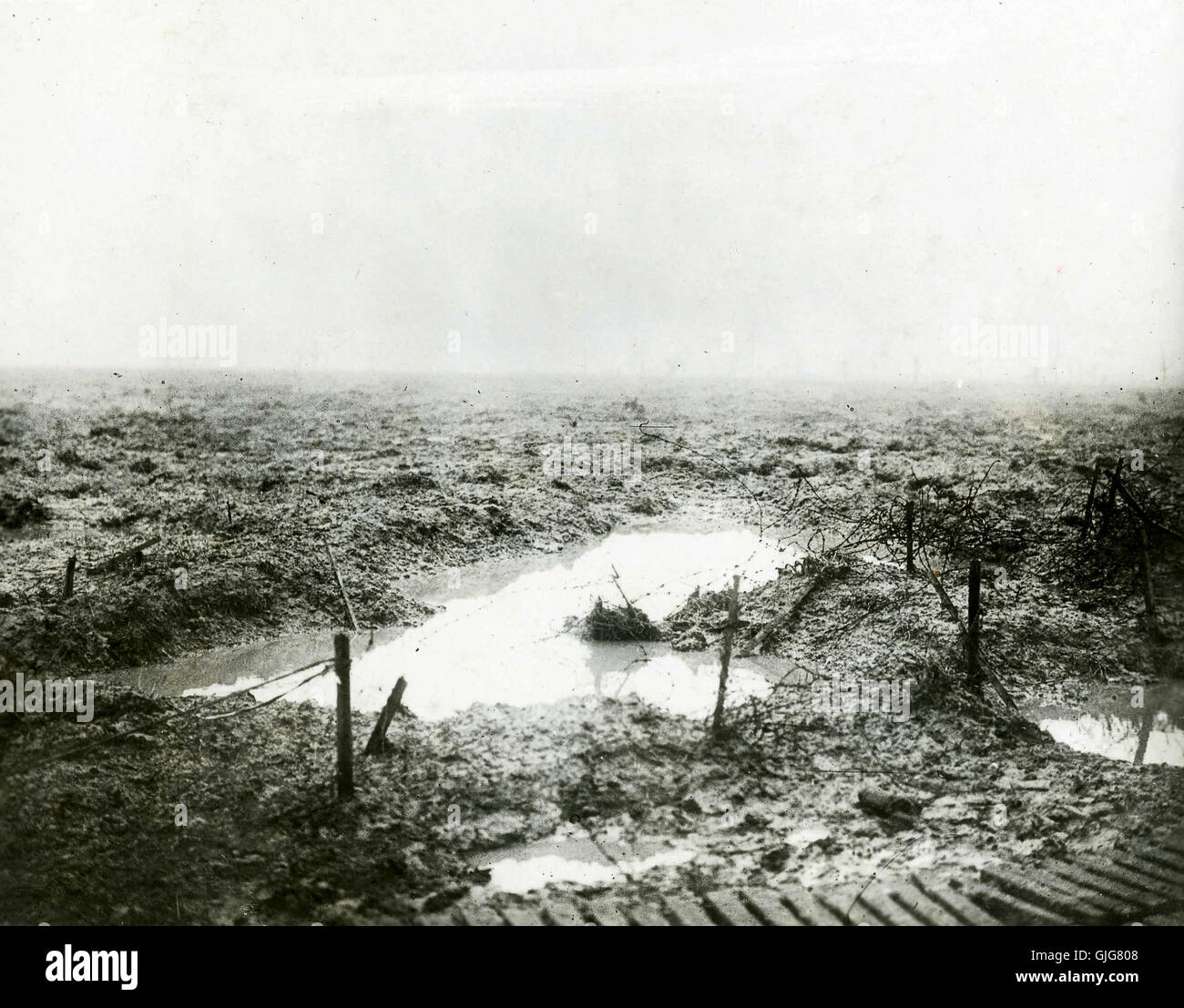 Weltkrieg einer, Passchendaele, Belgien. Gelände, durch die das kanadische Korps Passchendaele fortgeschritten Stockfoto
