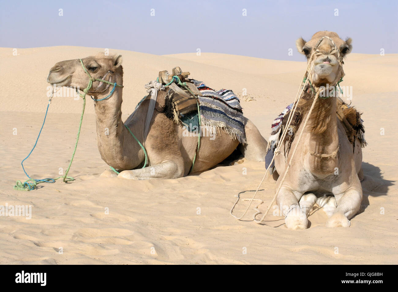 Urlaub Urlaub Ferien Stockfoto