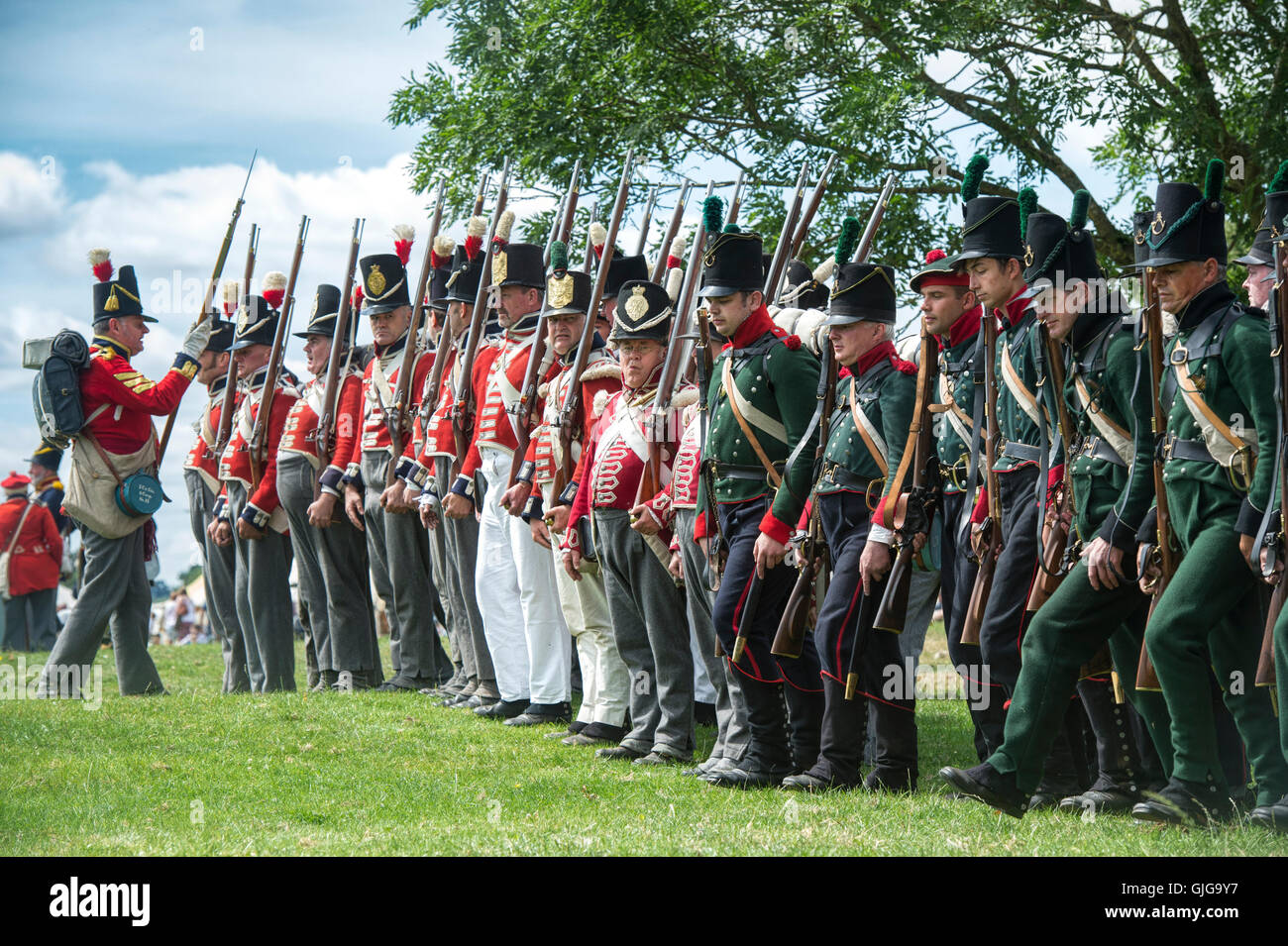Coldstream Regiment of Foot Guards und 95. Gewehre auf dem Schlachtfeld der napoleonischen Kriege Reenactment. Spetchley Park, England Stockfoto