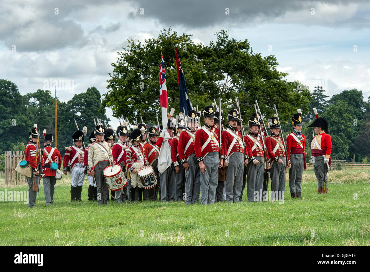 Coldstream Regiment of Foot Guards auf dem Schlachtfeld der napoleonischen Kriege Reenactment im Spetchley Park, Worcestershire, England Stockfoto