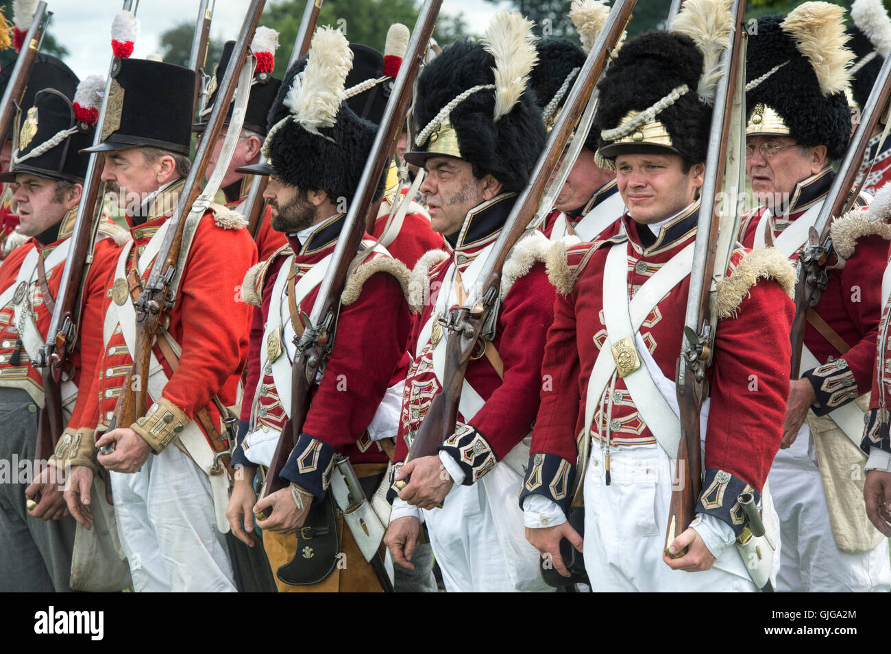 Coldstream Regiment of Foot Guards auf dem Schlachtfeld der napoleonischen Kriege Reenactment im Spetchley Park, Worcestershire, England Stockfoto