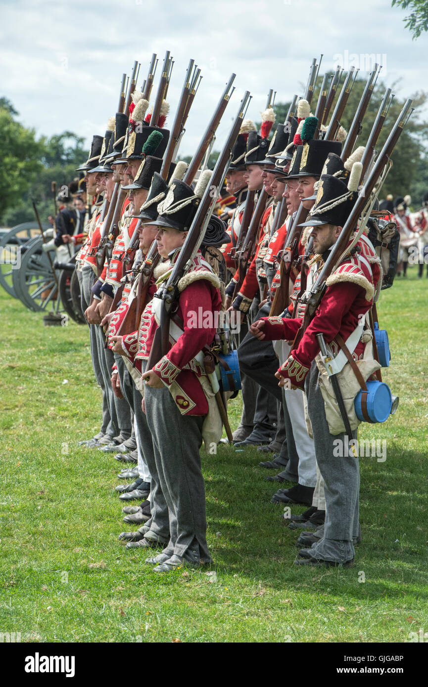 Coldstream Regiment of Foot Guards auf dem Schlachtfeld der napoleonischen Kriege Reenactment im Spetchley Park, Worcestershire, England Stockfoto