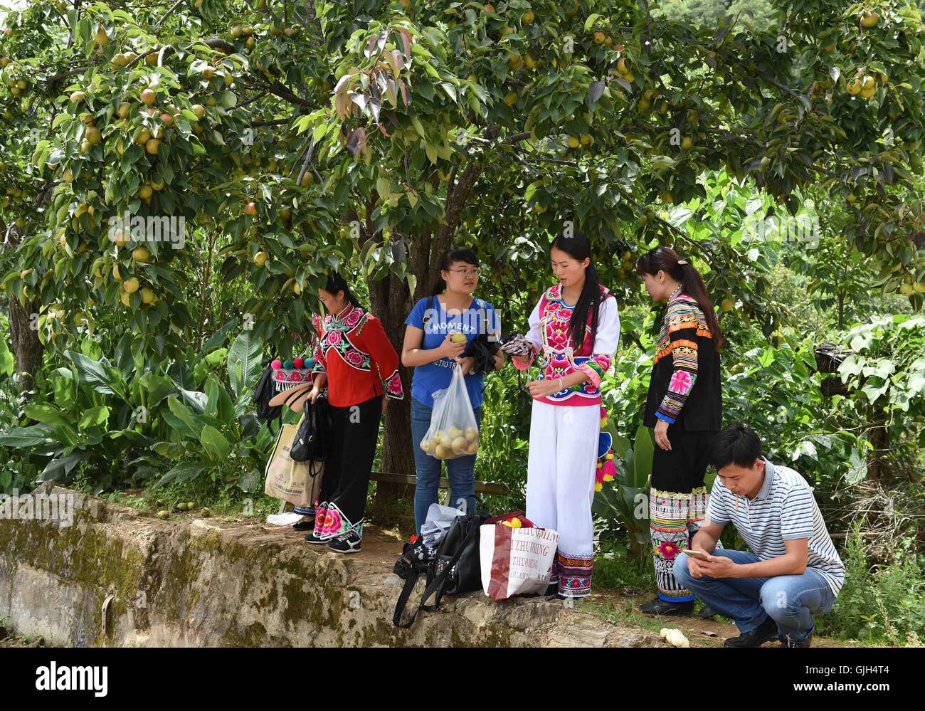Dayao, chinesischen Provinz Yunnan. 16. August 2016. Menschen machen Sie eine Pause unter einem Baum im Shuijing Yi Dorf unter Liuju Stadt von Dayao County, Chuxiong Yi autonomen Präfektur, der südwestlichen chinesischen Provinz Yunnan, 16. August 2016. Gemeindeverwaltung hat große Anstrengungen unternommen, die wohnen Bedingungen, Umwelt sowie wirtschaftlichen Einkommen für Dorfbewohner in den vergangenen Jahren zu verbessern. © Yang Zongyou/Xinhua/Alamy Live-Nachrichten Stockfoto