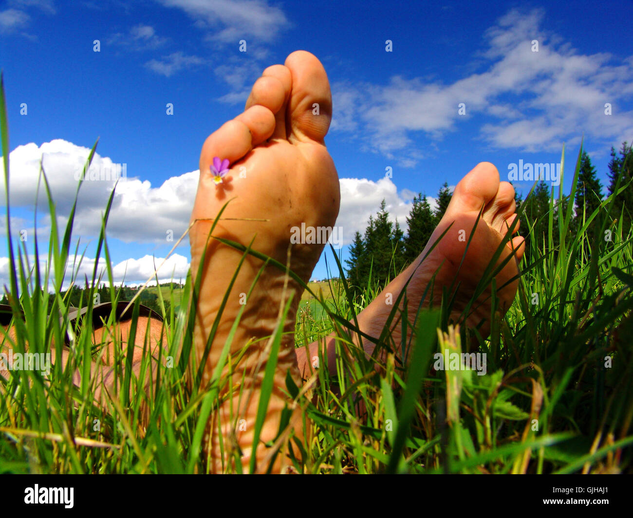 auf der Wiese haben wir gelegen. V2 Stockfoto